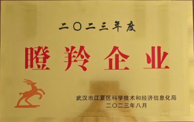 2023瞪羚企業